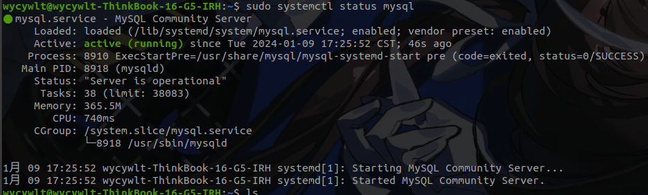 image-20240109173356768