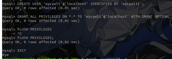 image-20240109180508522